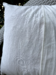 IMG_0431-1.png