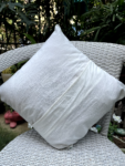 IMG_0431-1.png